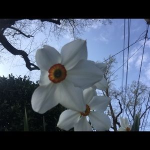 Meet your Posher, Martha